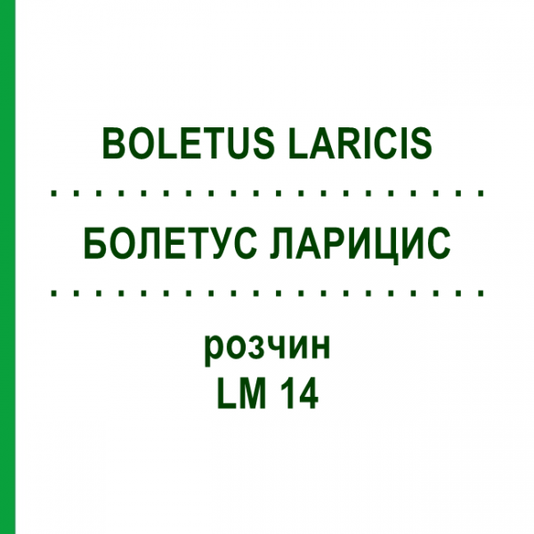 БОЛЕТУС ЛАРИЦИС (BOLETUS LARICIS) LM 14 розчин 10 мл - Гомеопатія ARCANA DR.SEWERIN