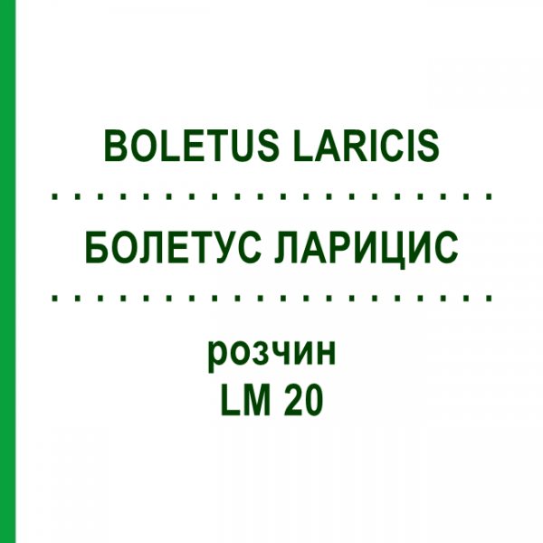 БОЛЕТУС ЛАРИЦИС (BOLETUS LARICIS) LM 20 розчин 10 мл - Гомеопатія ARCANA DR.SEWERIN