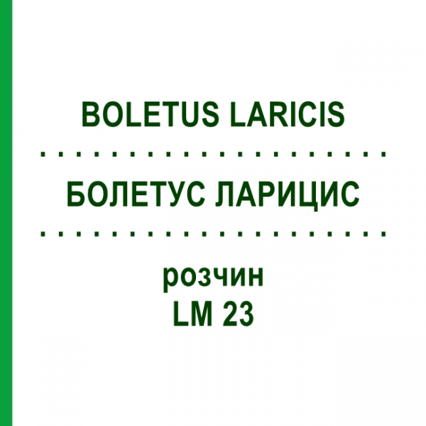 БОЛЕТУС ЛАРИЦИС (BOLETUS LARICIS) LM 23 раствор 10 мл - Гомеопатия ARCANA DR.SEWERIN