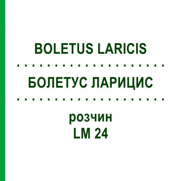 БОЛЕТУС ЛАРИЦИС (BOLETUS LARICIS) LM 24 розчин 10 мл - Гомеопатія ARCANA DR.SEWERIN