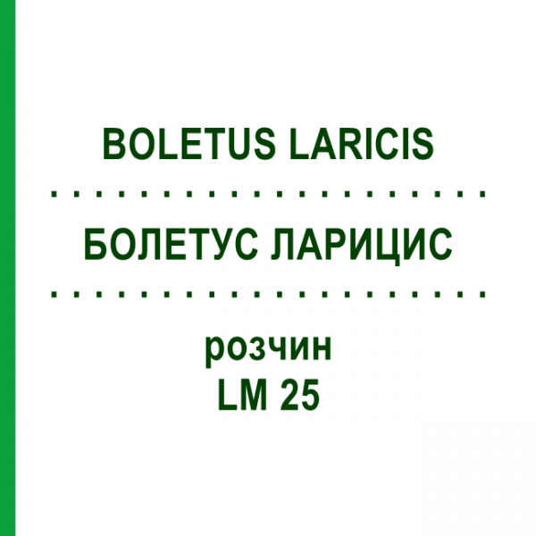 БОЛЕТУС ЛАРИЦИС (BOLETUS LARICIS) LM 25 раствор 10 мл - Гомеопатия ARCANA DR.SEWERIN