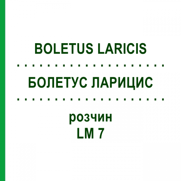 БОЛЕТУС ЛАРИЦИС (BOLETUS LARICIS) LM 7 розчин 10 мл - Гомеопатія ARCANA DR.SEWERIN