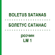 БОЛЕТУС САТАНАС (BOLETUS SATANAS) LM 1 розчин 10 мл - Гомеопатія ARCANA DR.SEWERIN