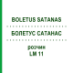 БОЛЕТУС САТАНАС (BOLETUS SATANAS) LM 11 розчин 10 мл - Гомеопатія ARCANA DR.SEWERIN