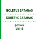 БОЛЕТУС САТАНАС (BOLETUS SATANAS) LM 13 розчин 10 мл - Гомеопатія ARCANA DR.SEWERIN