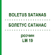 БОЛЕТУС САТАНАС (BOLETUS SATANAS) LM 19 розчин 10 мл - Гомеопатія ARCANA DR.SEWERIN