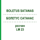 БОЛЕТУС САТАНАС (BOLETUS SATANAS) LM 23 розчин 10 мл - Гомеопатія ARCANA DR.SEWERIN
