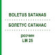БОЛЕТУС САТАНАС (BOLETUS SATANAS) LM 25 розчин 10 мл - Гомеопатія ARCANA DR.SEWERIN