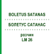 БОЛЕТУС САТАНАС (BOLETUS SATANAS) LM 26 розчин 10 мл - Гомеопатія ARCANA DR.SEWERIN