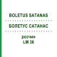 БОЛЕТУС САТАНАС (BOLETUS SATANAS) LM 36 розчин 10 мл - Гомеопатія ARCANA DR.SEWERIN
