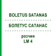 БОЛЕТУС САТАНАС (BOLETUS SATANAS) LM 4 розчин 10 мл - Гомеопатія ARCANA DR.SEWERIN