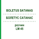 БОЛЕТУС САТАНАС (BOLETUS SATANAS) LM 45 розчин 10 мл - Гомеопатія ARCANA DR.SEWERIN