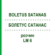 БОЛЕТУС САТАНАС (BOLETUS SATANAS) LM 6 розчин 10 мл - Гомеопатія ARCANA DR.SEWERIN