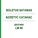 БОЛЕТУС САТАНАС (BOLETUS SATANAS) LM 60 розчин 10 мл - Гомеопатія ARCANA DR.SEWERIN