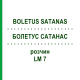 БОЛЕТУС САТАНАС (BOLETUS SATANAS) LM 7 розчин 10 мл - Гомеопатія ARCANA DR.SEWERIN