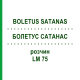 БОЛЕТУС САТАНАС (BOLETUS SATANAS) LM 75 розчин 10 мл - Гомеопатія ARCANA DR.SEWERIN