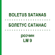 БОЛЕТУС САТАНАС (BOLETUS SATANAS) LM 9 розчин 10 мл - Гомеопатія ARCANA DR.SEWERIN