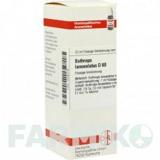 БОТРОПС (BOTHROPS) D 60 раствор 20 мл - Гомеопатия DHU