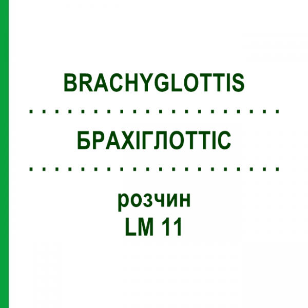БРАХІГЛОТТІС (BRACHYGLOTTIS) LM 11 розчин 10 мл - Гомеопатія ARCANA DR.SEWERIN