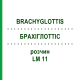 БРАХІГЛОТТІС (BRACHYGLOTTIS) LM 11 розчин 10 мл - Гомеопатія ARCANA DR.SEWERIN