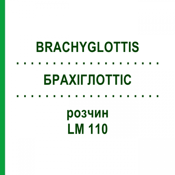 БРАХІГЛОТТІС (BRACHYGLOTTIS) LM 110 розчин 10 мл - Гомеопатія ARCANA DR.SEWERIN