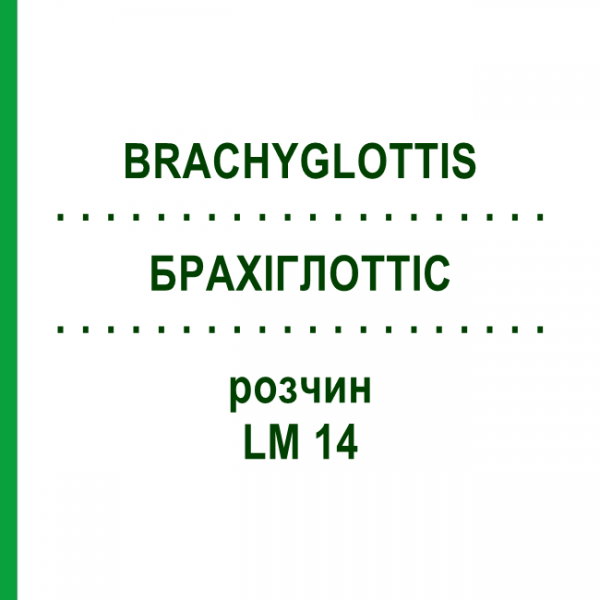 БРАХІГЛОТТІС (BRACHYGLOTTIS) LM 14 розчин 10 мл - Гомеопатія ARCANA DR.SEWERIN