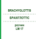 БРАХІГЛОТТІС (BRACHYGLOTTIS) LM 17 розчин 10 мл - Гомеопатія ARCANA DR.SEWERIN