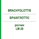 БРАХІГЛОТТІС (BRACHYGLOTTIS) LM 29 розчин 10 мл - Гомеопатія ARCANA DR.SEWERIN