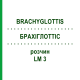 БРАХІГЛОТТІС (BRACHYGLOTTIS) LM 3 розчин 10 мл - Гомеопатія ARCANA DR.SEWERIN