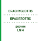 БРАХІГЛОТТІС (BRACHYGLOTTIS) LM 4 розчин 10 мл - Гомеопатія ARCANA DR.SEWERIN