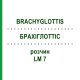 БРАХІГЛОТТІС (BRACHYGLOTTIS) LM 7 розчин 10 мл - Гомеопатія ARCANA DR.SEWERIN