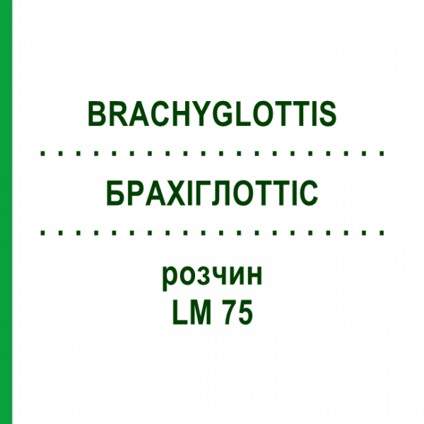 БРАХІГЛОТТІС (BRACHYGLOTTIS) LM 75 розчин 10 мл - Гомеопатія ARCANA DR.SEWERIN