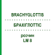 БРАХІГЛОТТІС (BRACHYGLOTTIS) LM 8 розчин 10 мл - Гомеопатія ARCANA DR.SEWERIN