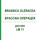 БРАССІКА ОЛЕРАЦЕЯ (BRASSICA OLERACEA) LM 11 розчин 10 мл - Гомеопатія ARCANA DR.SEWERIN