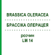 БРАССІКА ОЛЕРАЦЕЯ (BRASSICA OLERACEA) LM 14 розчин 10 мл - Гомеопатія ARCANA DR.SEWERIN