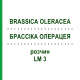 БРАССІКА ОЛЕРАЦЕЯ (BRASSICA OLERACEA) LM 3 розчин 10 мл - Гомеопатія ARCANA DR.SEWERIN
