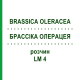БРАССІКА ОЛЕРАЦЕЯ (BRASSICA OLERACEA) LM 4 розчин 10 мл - Гомеопатія ARCANA DR.SEWERIN