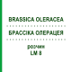 БРАССІКА ОЛЕРАЦЕЯ (BRASSICA OLERACEA) LM 8 розчин 10 мл - Гомеопатія ARCANA DR.SEWERIN