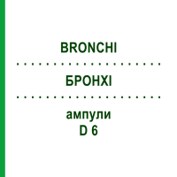 БРОНХИ (BRONCHI) D 6 ампулы 10x1 мл - Гомеопатия WALA HEILMITTEL