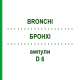 БРОНХІ (BRONCHI) D 6 ампули 10x1 мл - Гомеопатія WALA HEILMITTEL
