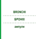 БРОНХІ (BRONCHI) ампули 10x1 мл - Гомеопатія WALA HEILMITTEL