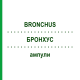 БРОНХУС (BRONCHUS) ампули 10 шт - Гомеопатія BIOLOGISCHE HEILMITTEL HEEL