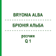 БРІОНІЯ АЛЬБА (BRYONIA ALBA) Q 1 розчин 15 мл - Гомеопатія GUDJONS