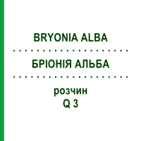 БРИОНИЯ АЛЬБА (BRYONIA ALBA) Q 3 раствор 15 мл - Гомеопатия GUDJONS