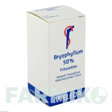 БРИОФИЛЛУМ (BRYOPHYLLUM) 50% порошок 20 г - Гомеопатия WELEDA