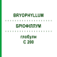 БРІОФІЛЛУМ (BRYOPHYLLUM) C 200 глобули 10 г - Гомеопатія DHU