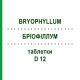 БРІОФІЛЛУМ (BRYOPHYLLUM) D 12 таблетки 80 шт - Гомеопатія DHU