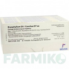 БРИОФИЛЛУМ (BRYOPHYLLUM) D 5 ампулы 48x1 мл - Гомеопатия WELEDA