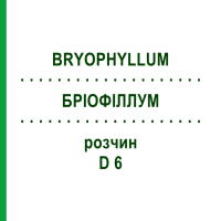 БРИОФИЛЛУМ (BRYOPHYLLUM) D 6 раствор 20 мл - Гомеопатия DHU