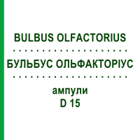 БУЛЬБУС ОЛЬФАКТОРІУС (BULBUS OLFACTORIUS) D 15 ампули 10x1 мл - Гомеопатія WALA HEILMITTEL